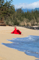 0004 - Maui BTS